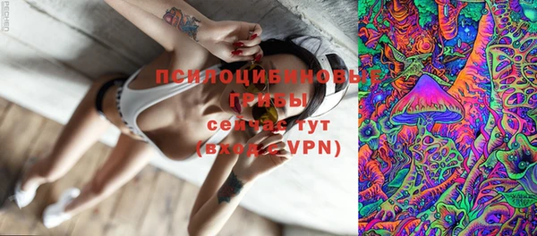 прущие крисы Алзамай