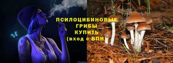 прущие крисы Алзамай